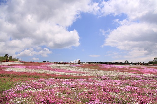 c0213764_1511.jpg