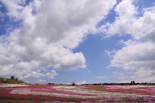 c0213764_162730.jpg