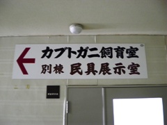 e0197164_9175578.jpg