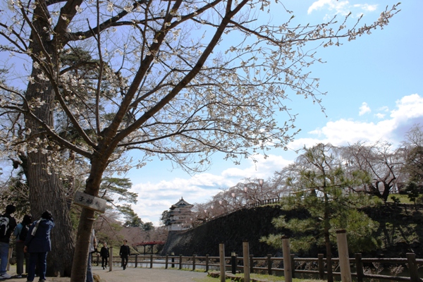 d0131668_15351168.jpg
