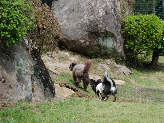 f0065768_2056360.jpg