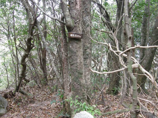 c0042869_2035202.jpg
