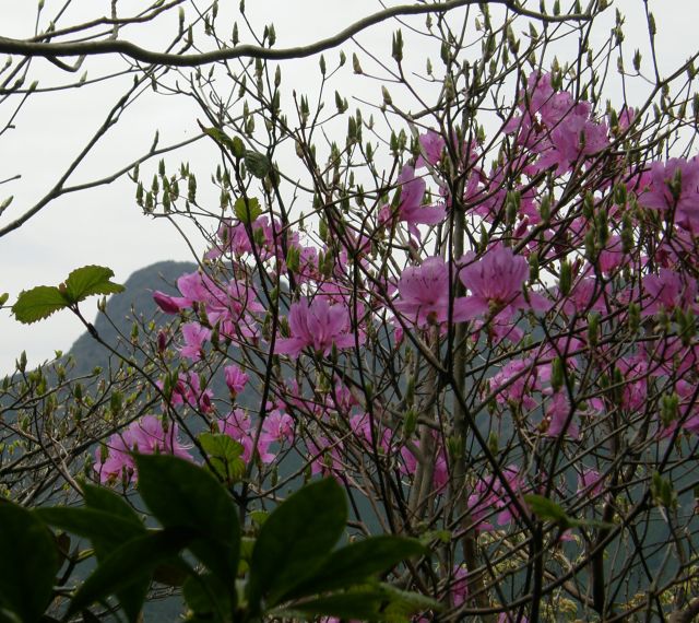 c0042869_20375828.jpg
