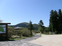 c0042869_6465582.jpg