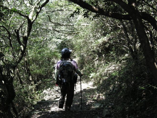 c0042869_714422.jpg