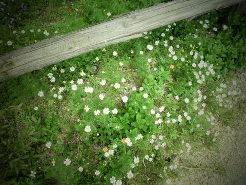 f0232876_1819148.jpg
