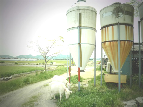 f0232876_18192961.jpg
