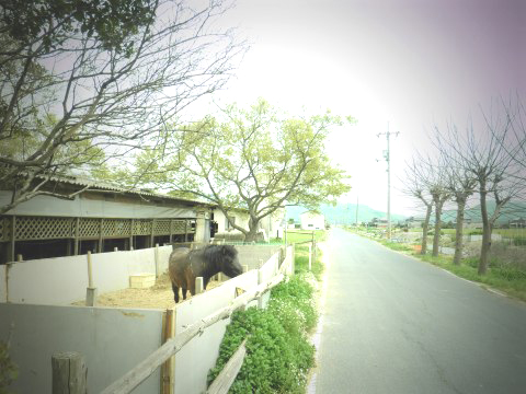 f0232876_1819395.jpg