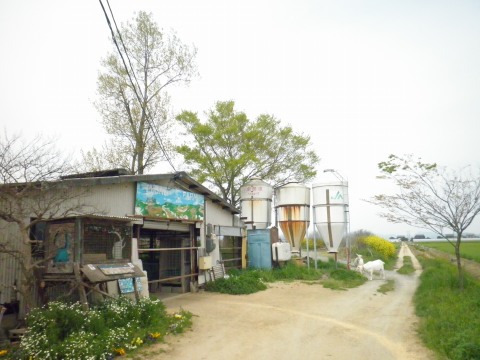 f0232876_1882871.jpg