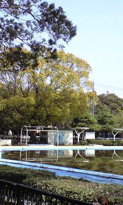 a0152078_10433779.jpg
