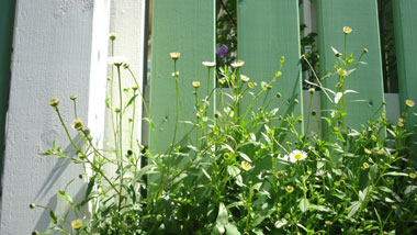 f0166982_2211139.jpg
