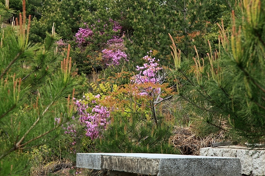 e0190885_19292791.jpg