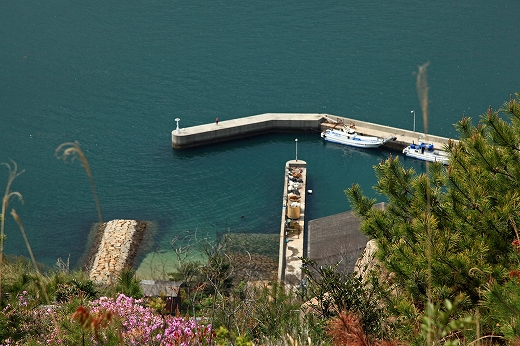 e0190885_19294677.jpg