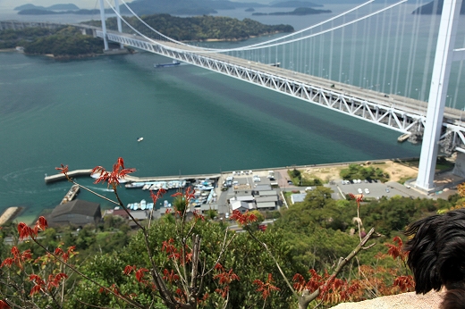 e0190885_19301657.jpg