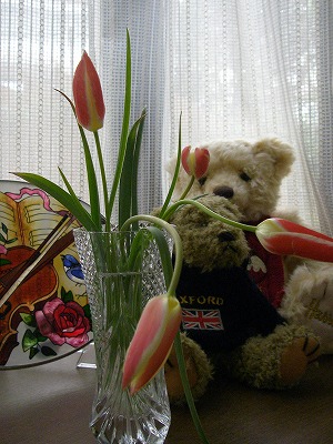 d0050290_035835.jpg