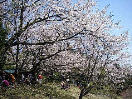 f0202990_621275.jpg