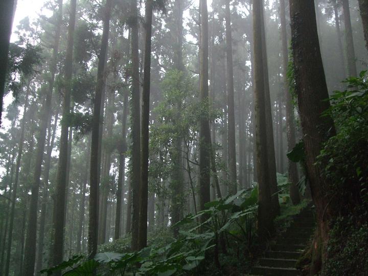 d0144792_0161878.jpg