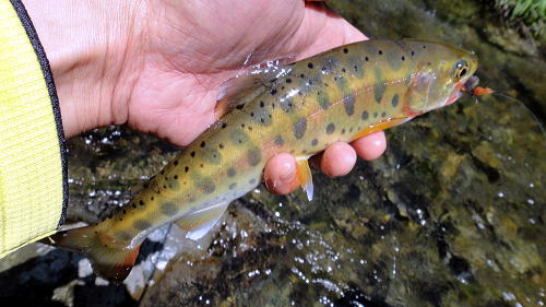f0141392_0402649.jpg