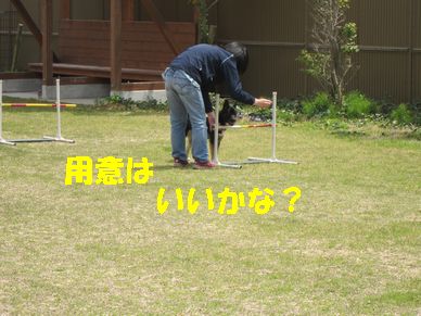 a0137294_8194765.jpg