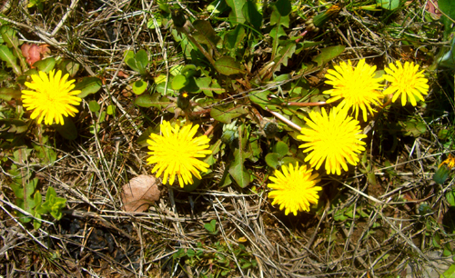 b0099994_1642395.jpg