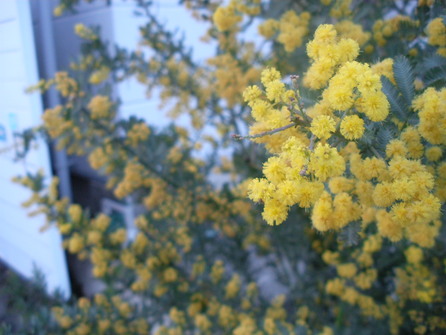 f0215094_7391.jpg