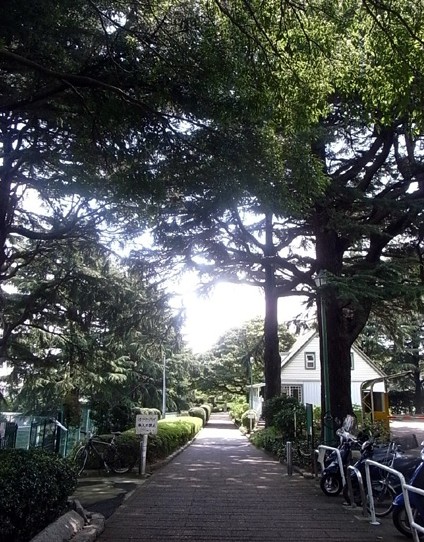 e0043700_21472321.jpg
