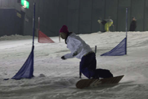 a0149502_0105713.gif