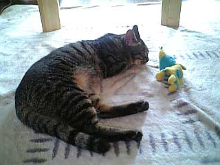 a0156703_1356268.jpg