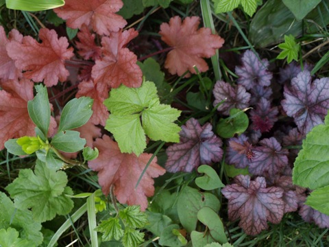 b0026408_044175.jpg