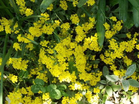 b0026408_057175.jpg