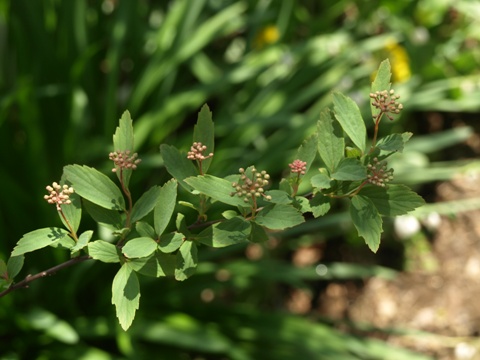 b0026408_10811.jpg