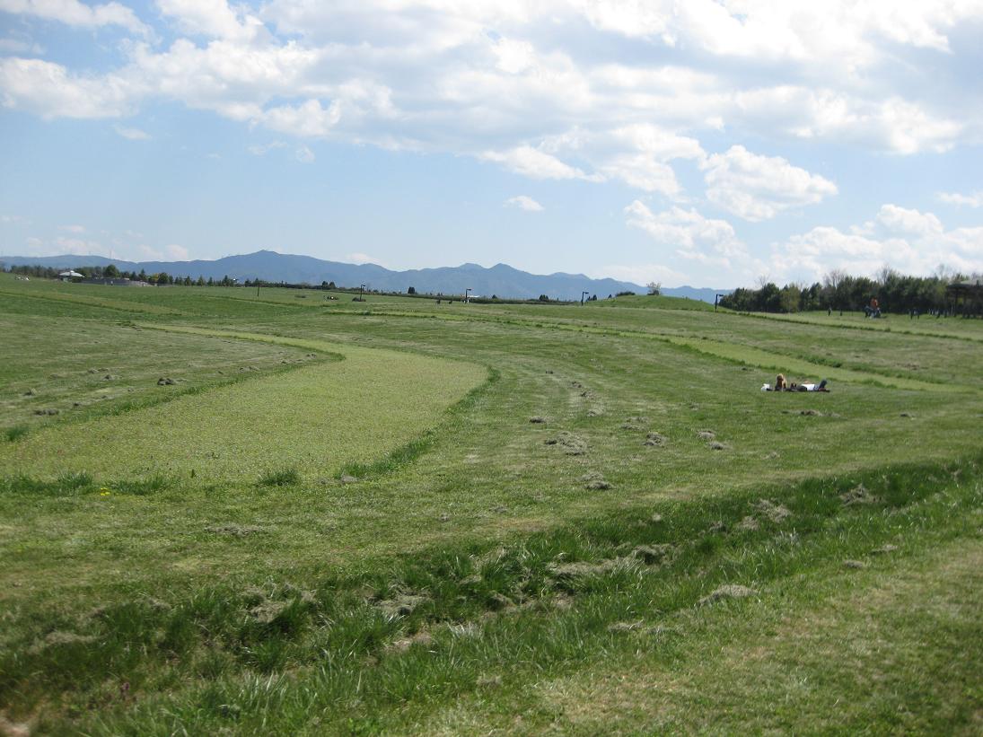 f0179209_9403866.jpg