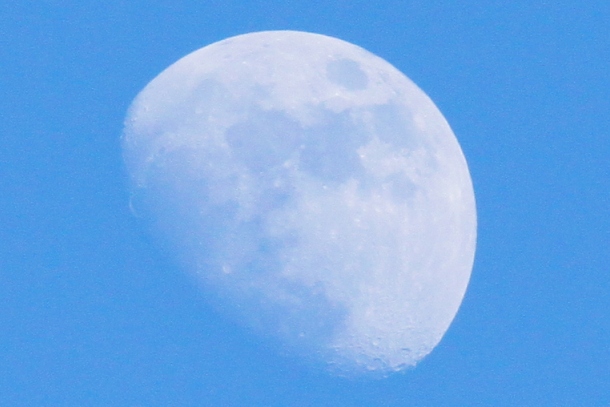 a0109914_0341067.jpg