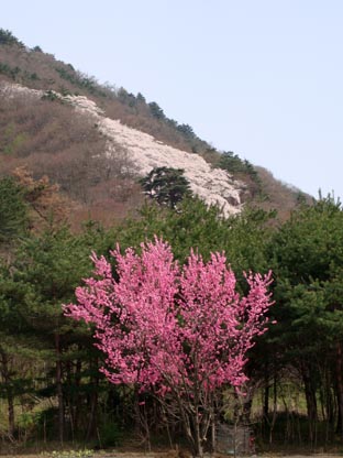 c0047814_81247100.jpg
