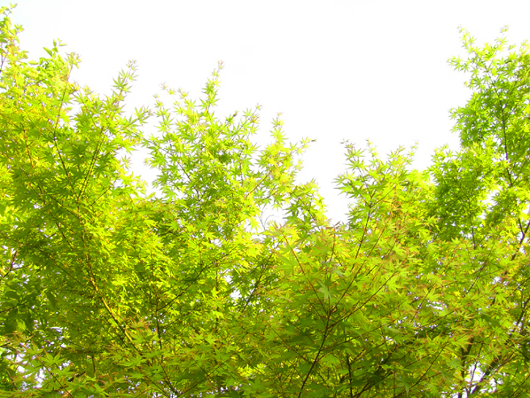 c0226214_642504.jpg