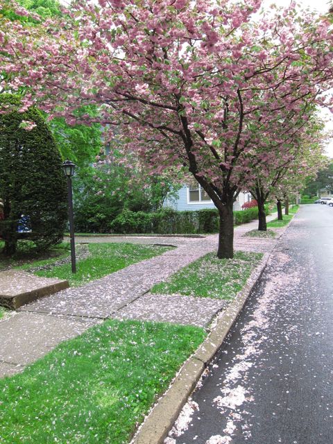c0120817_20564390.jpg
