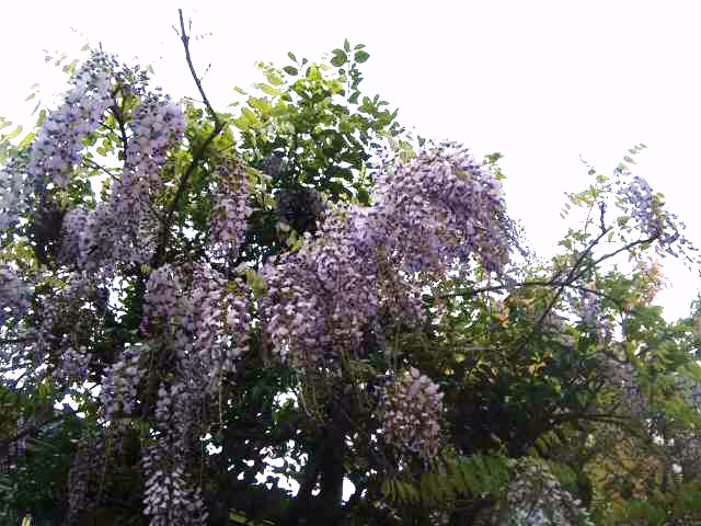 a0098418_2112841.jpg