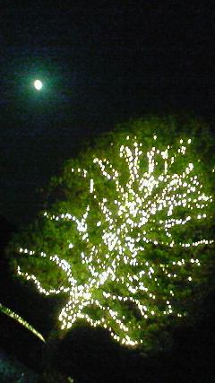 c0097620_23215122.jpg
