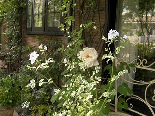 c0204121_8374224.jpg