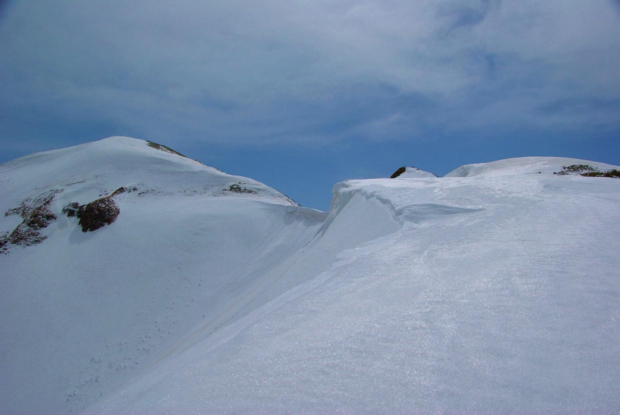 b0062024_2022126.jpg