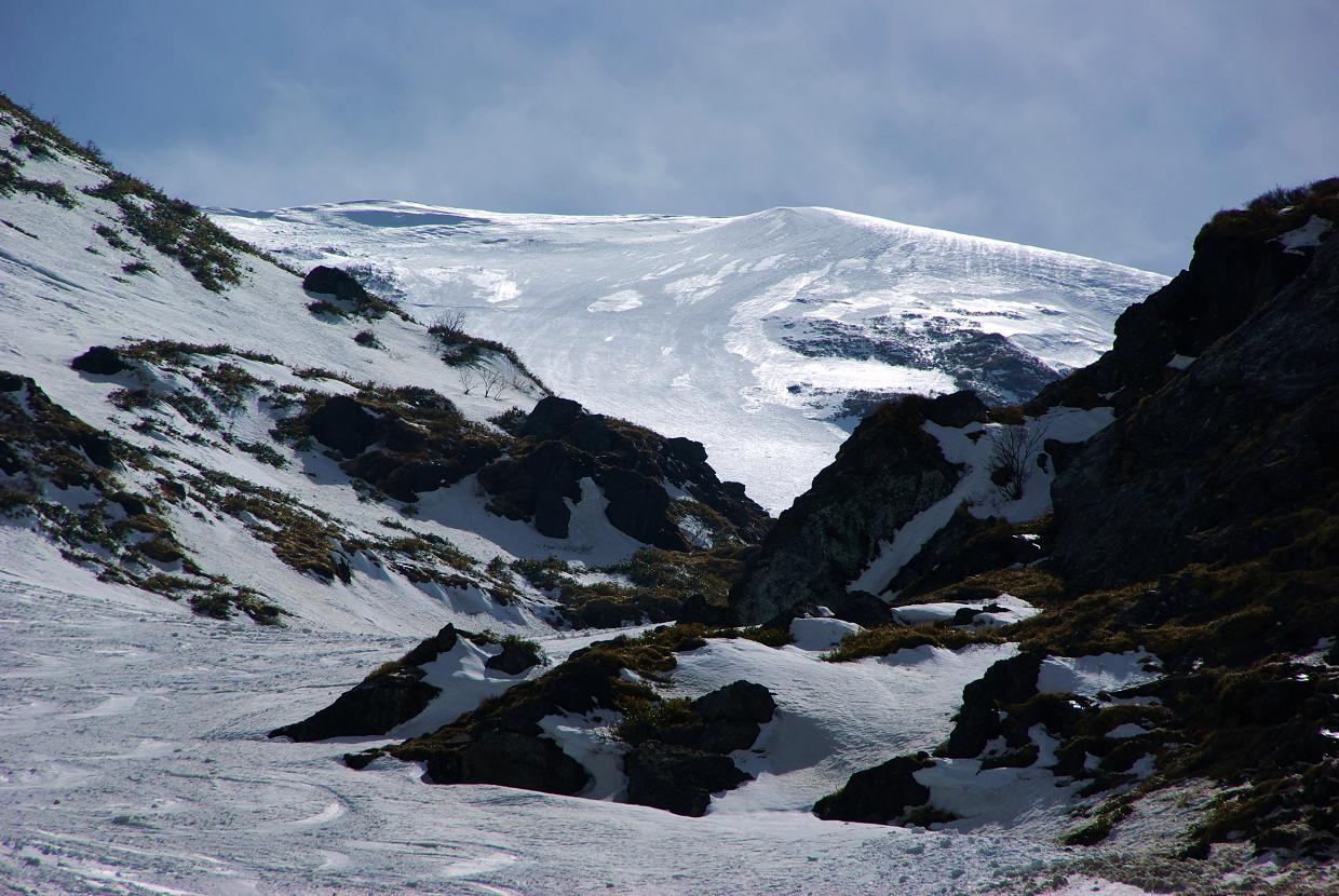 b0062024_20323486.jpg
