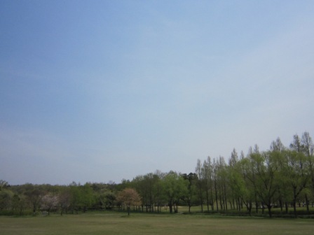 b0181027_2247356.jpg