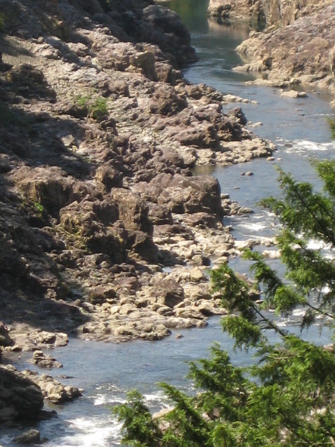 d0147727_2017360.jpg