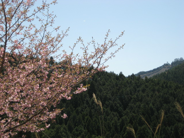 d0147727_20215039.jpg