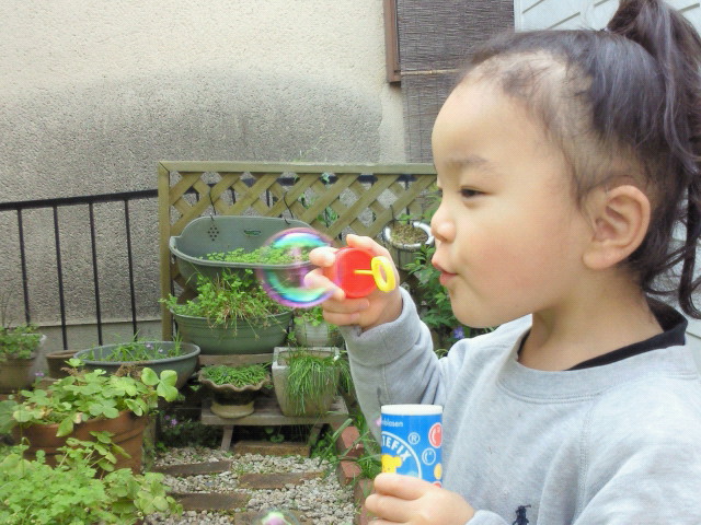 d0151227_22312836.jpg