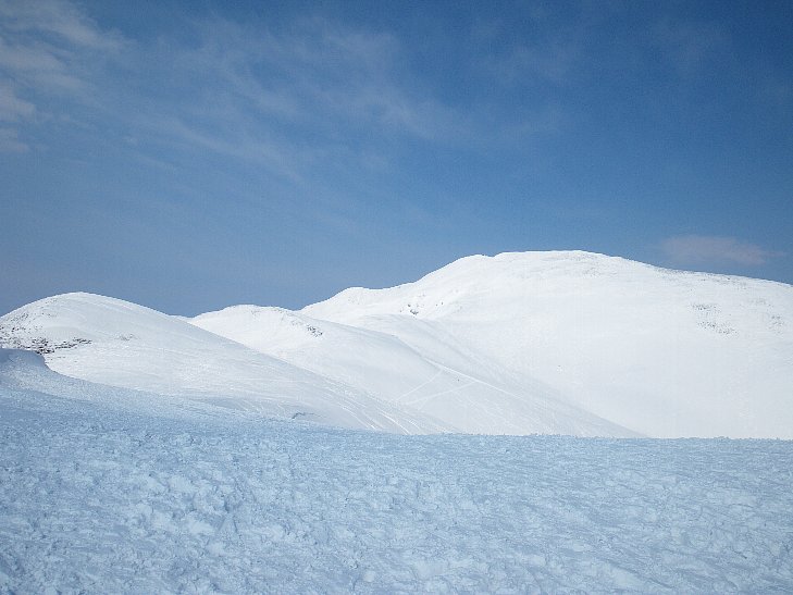f0118332_233121.jpg