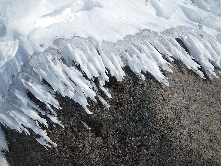 f0118332_2331242.jpg