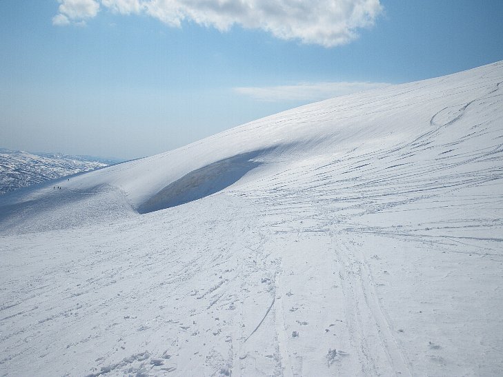 f0118332_23325247.jpg