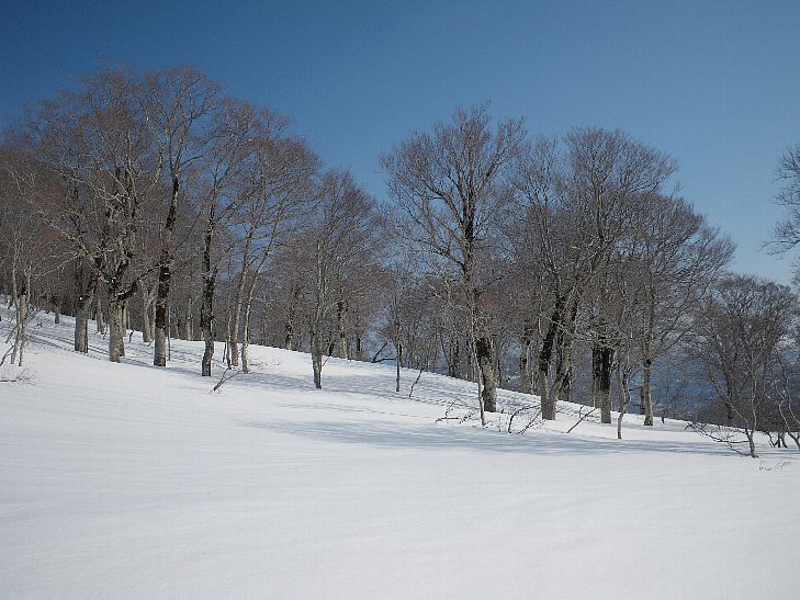 f0118332_23331221.jpg