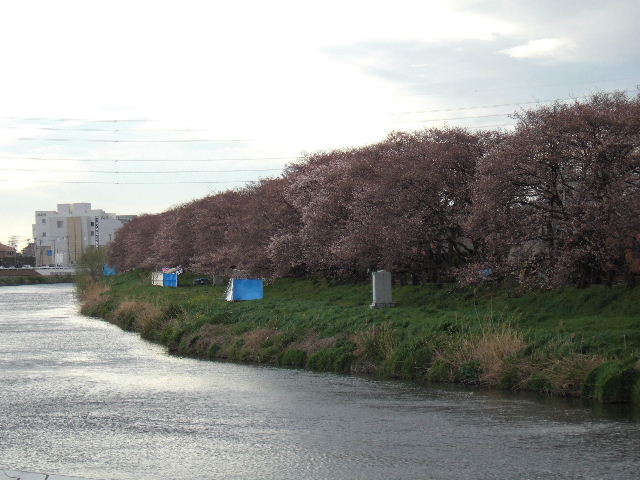 e0064133_0392032.jpg